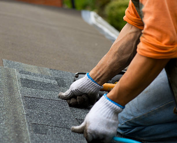 Best Roof Gutter Cleaning  in Fairport, NY
