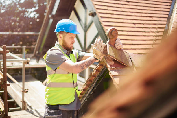 Roof Gutter Cleaning in Fairport, NY